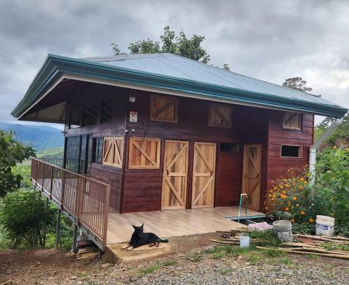 Paraiso House | Pet-Friendly Cabañas Vista de Oro with Oceanfront Views