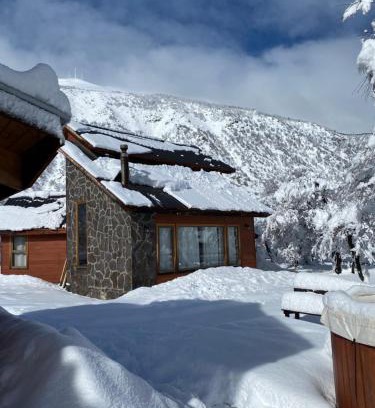 Pinto Cabin | Pet-Friendly Cabañas Alto Cordillera with Ocean Views