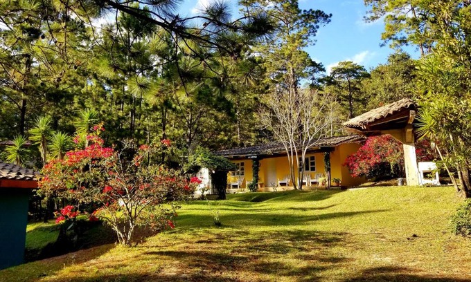 La Esperanza Hotel | Pet-Friendly Cabañas Bosque llano de la Virgen - 9/10 Rated