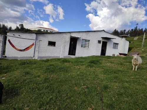Guatavita House | Family-Friendly Cabañas Casa Campo Guatavita Awaits You