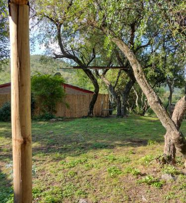 Alta Gracia Ski Chalet | Pet Friendly Retreat at Alquimia en Las Cascadas - 10/10 Rating