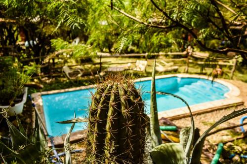 Chilecito Cabin | Pet-Friendly Cabañas de Montaña Rio Amarillo with Pool