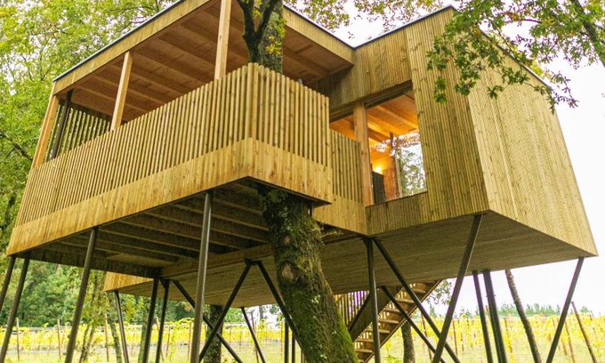 Fraga Other | Discover Cabañas Enoturismo María Manuela: Family-Friendly Retreat