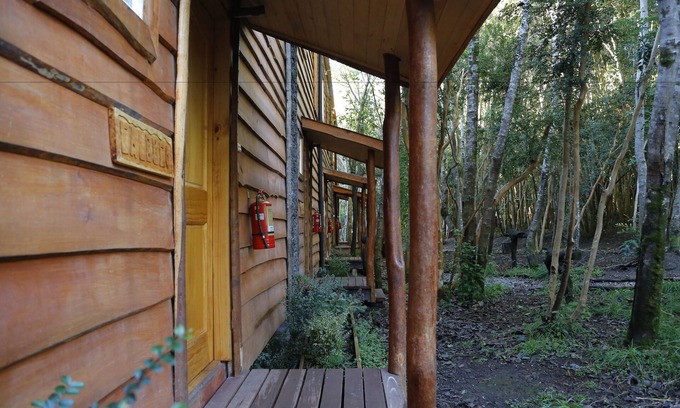 Ensenada Cabin | Tranquil Cabañas Ensenada Bosque Nativo with Private Pool