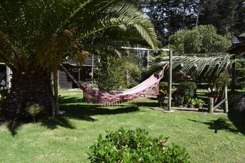 Isla Negra House | Cabañas Jardines de Isla Negra
