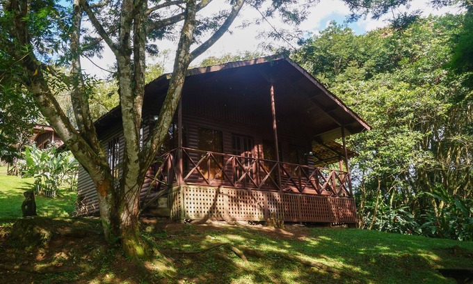 Santa Rosa Cabin | Inviting Cabañas La Naciente: Pet-Friendly Retreat Awaits