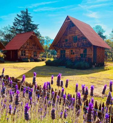 Mineral de Angangueo Cabin | Pet-Friendly Retreat at Cabañas La Palma - Rated 9/10