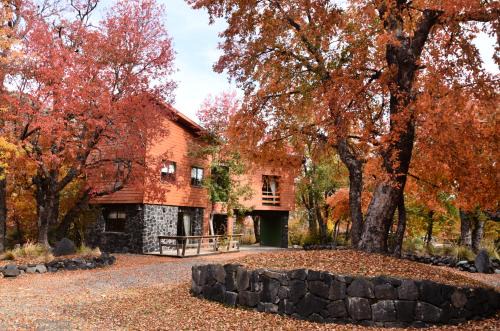 Pinto Cabin | Discover Cabañas Las Cabras: Family-Friendly Retreat with Pool