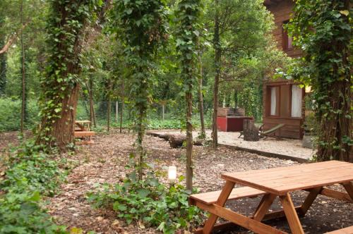 Bosque Peralta Ramos Cabin | Top-Rated Cabañas Las Sirenas: Pet-Friendly Retreat