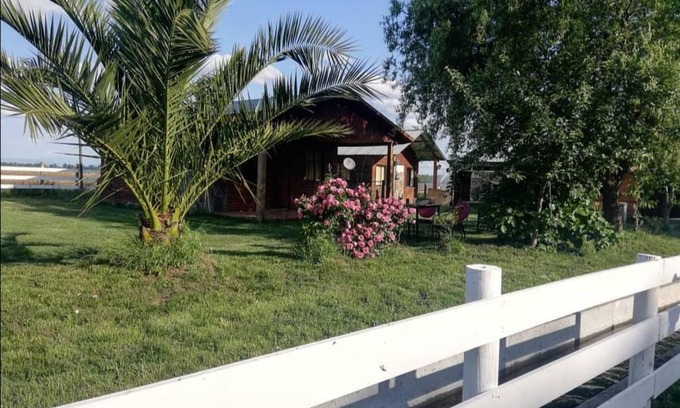 Los Angeles Cabin | Pet-Friendly Cabañas Los Castaños with Pool & Family Fun