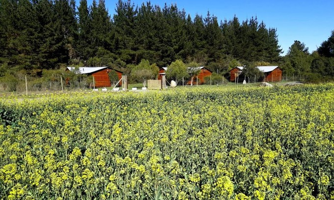 Parral House | Pet-Friendly Retreat at Cabañas Los Ciervos: Rated 9/10!