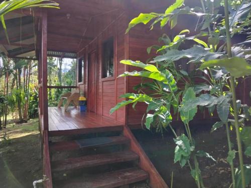 Katira Hotel | Pet-Friendly Cabañas Los Laguitos Near Rio Celeste