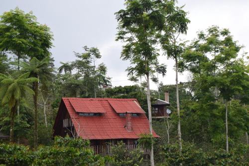 Cuetzalan del Progreso Cabin | Cozy Cabañas los Cedros: Pet-Friendly Getaway
