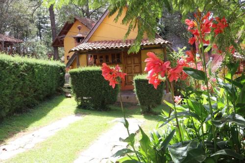Mazamitla Hotel | Discover Cabañas Lupita 22: Pet & Child Friendly Retreat