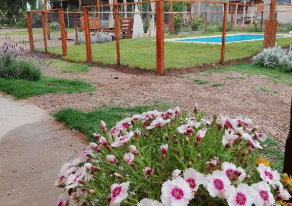 Rama Caida House | Pet-Friendly Cabañas mi Terruño: Guest Rated 9.8/10