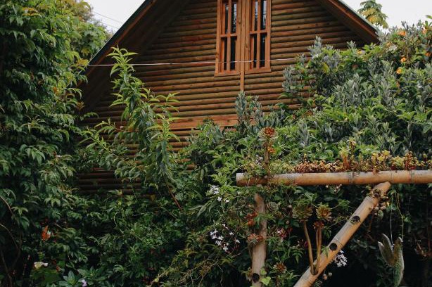 Sopo House | Discover Cabañas Sinduly Bed & Breakfast: 4-Star Getaway