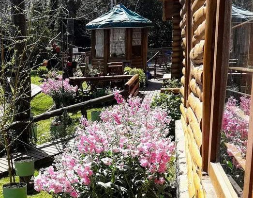 Las Gaviotas Cabin | Family-Friendly Cabañas Tehuel with Pool & Pet Amenities