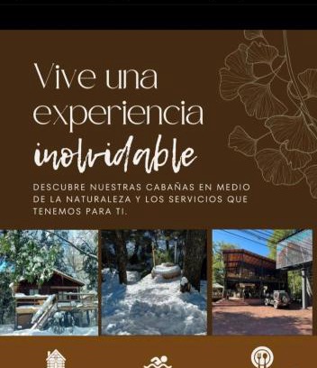Pinto Cabin | Cabañas Termas de Chillán