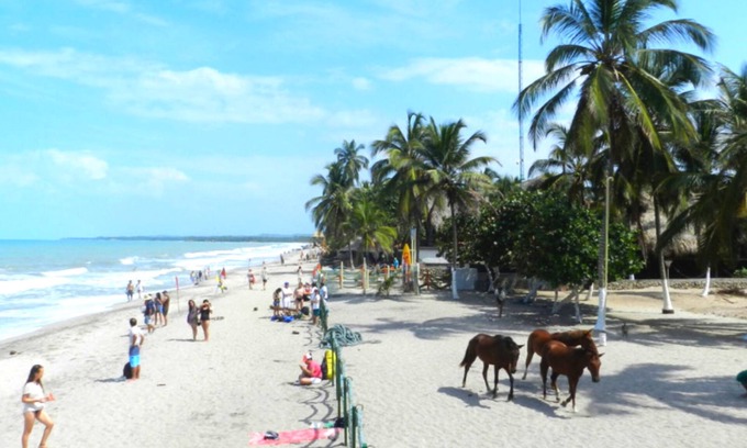 Palomino Apartment | Oceanfront Cabañas Vacacionales En Palomino Guajira