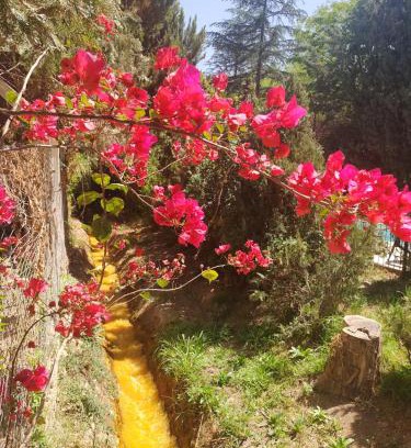 Chilecito Cabin | Cabañas Valle San Miguel
