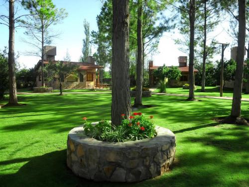 Mina Clavero Cabin | Discover Cabañas Viejo Vivero for Your Next Getaway