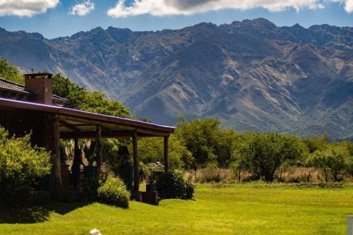 Las Rosas House | Discover Cabañas Villa de las Rosas with Oceanfront Views