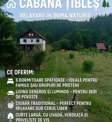 Cosbuc House | Explore Cabana Țibleș: Pet-Friendly Retreat with Breakfast