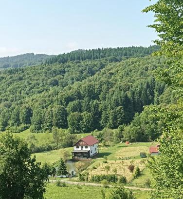 Cosbuc House | Family-Friendly Escape at Cabana Țibleș with Pets Welcome