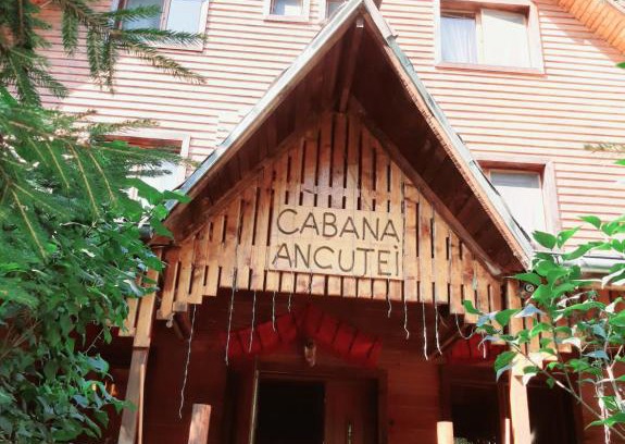 Rucar House | Discover Cabana Ancutei: Pet-Friendly Retreat with Dining
