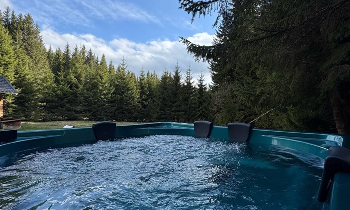 Busteni Bed & Breakfast | CABANA LAPTICI