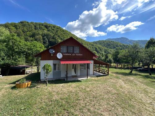 Calugareni House | Cabana lui Foardă: Guest Rated 9.8 with Oceanfront Views