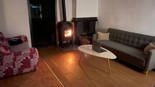 Lopadea Noua House | Pet-Friendly Cabana Nicu Odverem - Ideal for Families