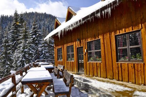 Sinaia Cabin | Top-Rated Cabana Stana Tarle with Hot Tub & Breakfast