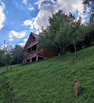 Viseu de Sus Cabin | Cabana Ulmului