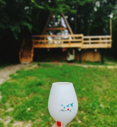 Curtea De Arges House | Pet-Friendly CabanaAframe: Family Retreat with Hot Tub