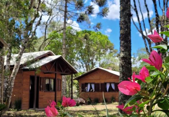 Sao Francisco de Paula House | Explore Cabanas dos Pinheiros: Pet-Friendly Retreat
