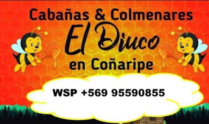 Conaripe House | Inviting Cabañas El Diuco in Coñaripe - Family Friendly Stay