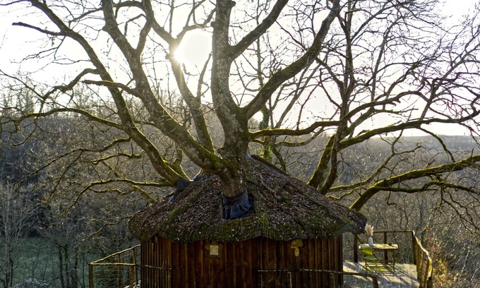 Pons Cabin | Pet-Friendly Cabin AMOUR: Ideal Family Getaway for Four