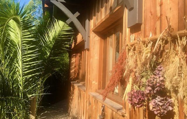 Cap-Ferret Bed & Breakfast | Chic Cabane Retreat at Cap Ferret: Child-Friendly Escape