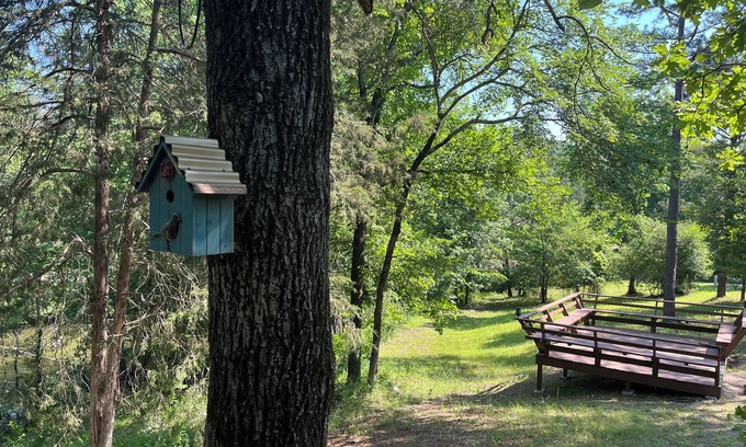Mid America Cabin | Inviting Cabin #16 at Venus Inn with Lake View & Breakfast
