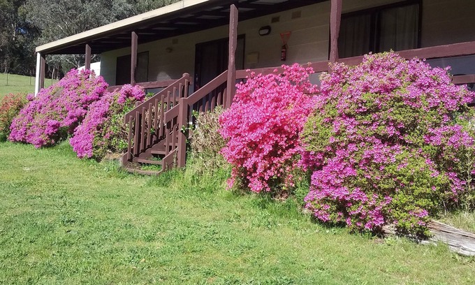 Jamieson Cabin | Family-Friendly Cabin 3 at Emerald Park Awaits You