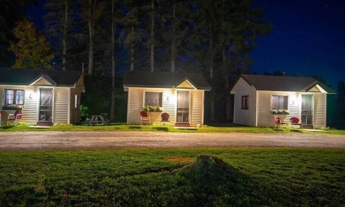Cadillac Cabin | Cozy Cabin #6 at Greenwing Getaway with Kitchen Amenities