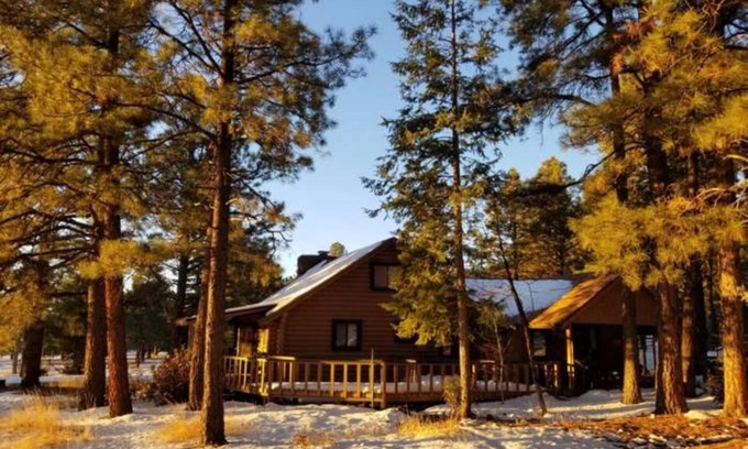 Williams Cabin | Cabin Escape surrounded by ponderosa pine trees and beautiful mountains.