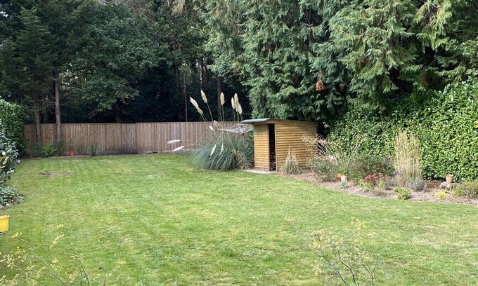 Ferndown Cabin | Ideal Cabin in a Prime Location with Breakfast Included