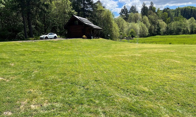 Chehalis Cabin | Relax at Cabin In The Wildwood - Top-Rated Family Retreat