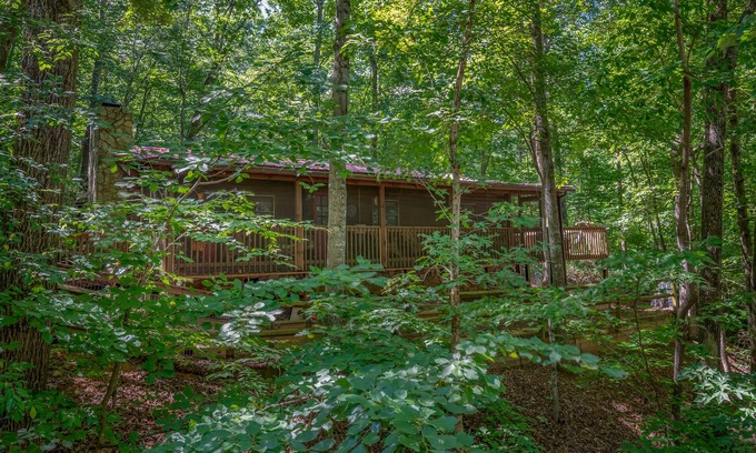 Lake Lure Cabin | Idyllic Cabin in the Woods by Lake Lure - Guest Rated 9.8