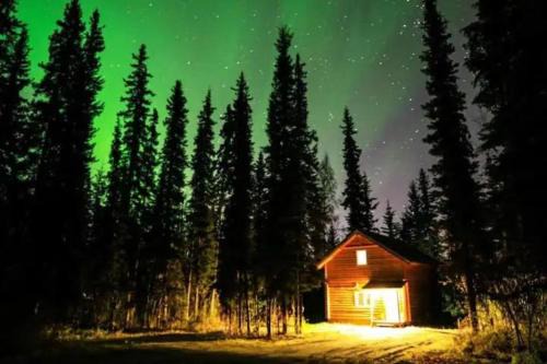 Fairbanks Apartment | Cabin in the woods Fairbanks, Alaska, United States