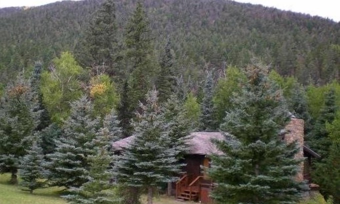 Cuchara Cabin | Experience Cabin Nestled in Pines with Valley Views & Kitchen