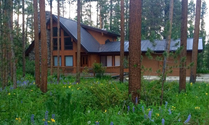 Fraser House | Secluded Cabin in the Woods, Pet Friendly & Family Ready