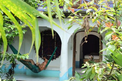 Pavones House | Discover Cabinas Carol: Oceanfront Retreat with Top Amenities